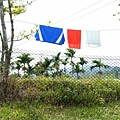 IMG20171105113145.jpg