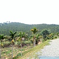 IMG20171105113639.jpg