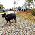 IMG20171105113729.jpg