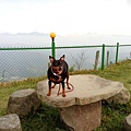 IMG20171105114125.jpg