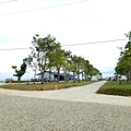 IMG20171105124425.jpg
