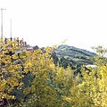 IMG20171105154818.jpg