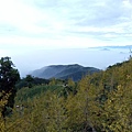 IMG20171105161251.jpg