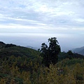 IMG20171105161357.jpg