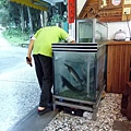 IMG20171105165855.jpg