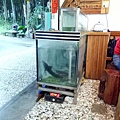 IMG20171105170313.jpg