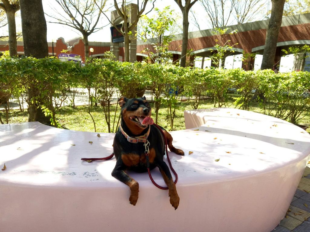 IMG20180215124919.jpg IMG20180215124919.jpg