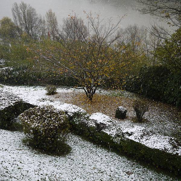 下大雪中