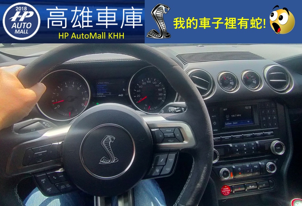 HP Automall HP高雄車庫 我的車子裡有蛇.jpg