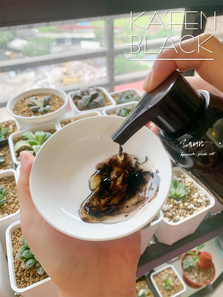 KA'FEN 曜石純粹黑 何首烏染髮系列終結布丁頭居家DIY白髮、布丁頭不求人的秘密2022髮品推薦 孔雀問路 KA'FEN 曜石純粹黑 何首烏染髮系列終結布丁頭居家DIY白髮、布丁頭不求人的秘密2022髮品推薦 孔雀問路