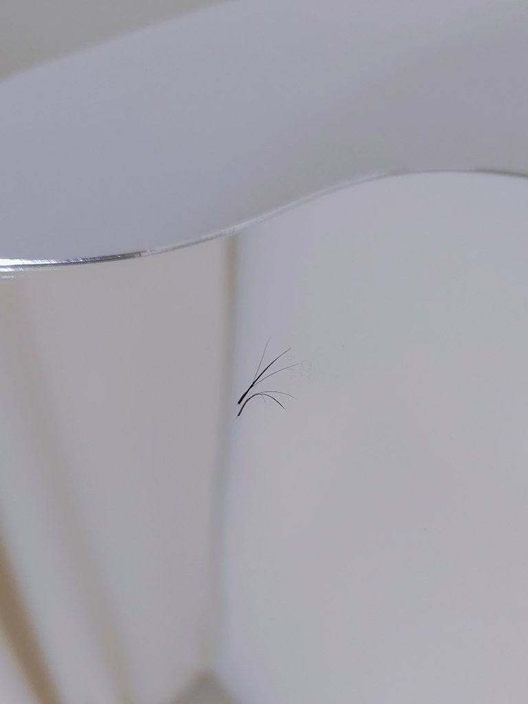 [榕氏]Rong's Beauty泰式微妝6D日式3D嫁接東區美睫孔雀問路