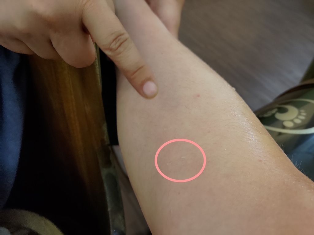 沅湘蒸足 (4).jpg 沅湘蒸足 (4).jpg