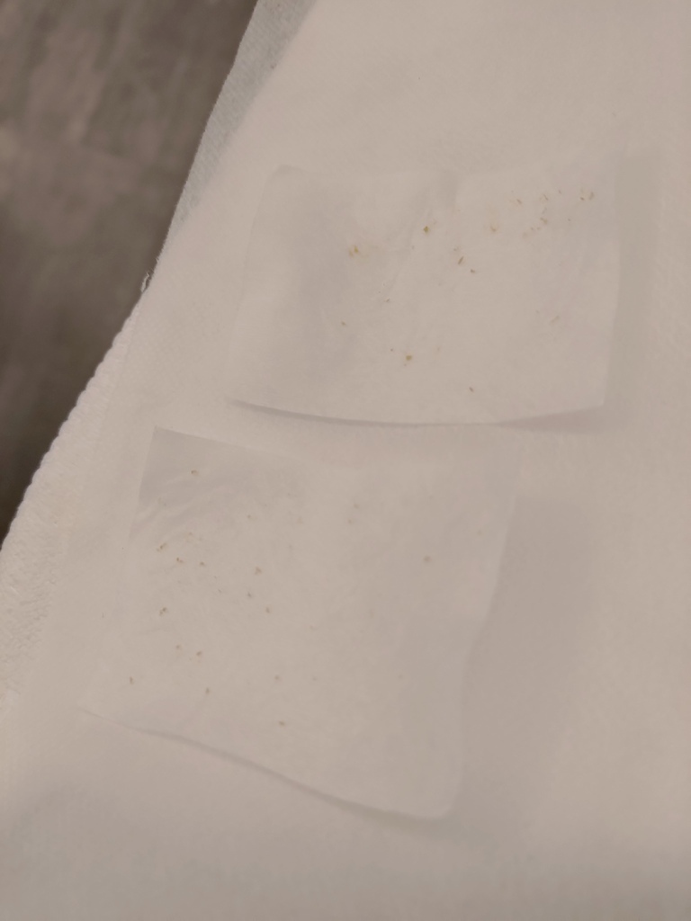 寶妮小姐 (24).jpg 寶妮小姐 (24).jpg