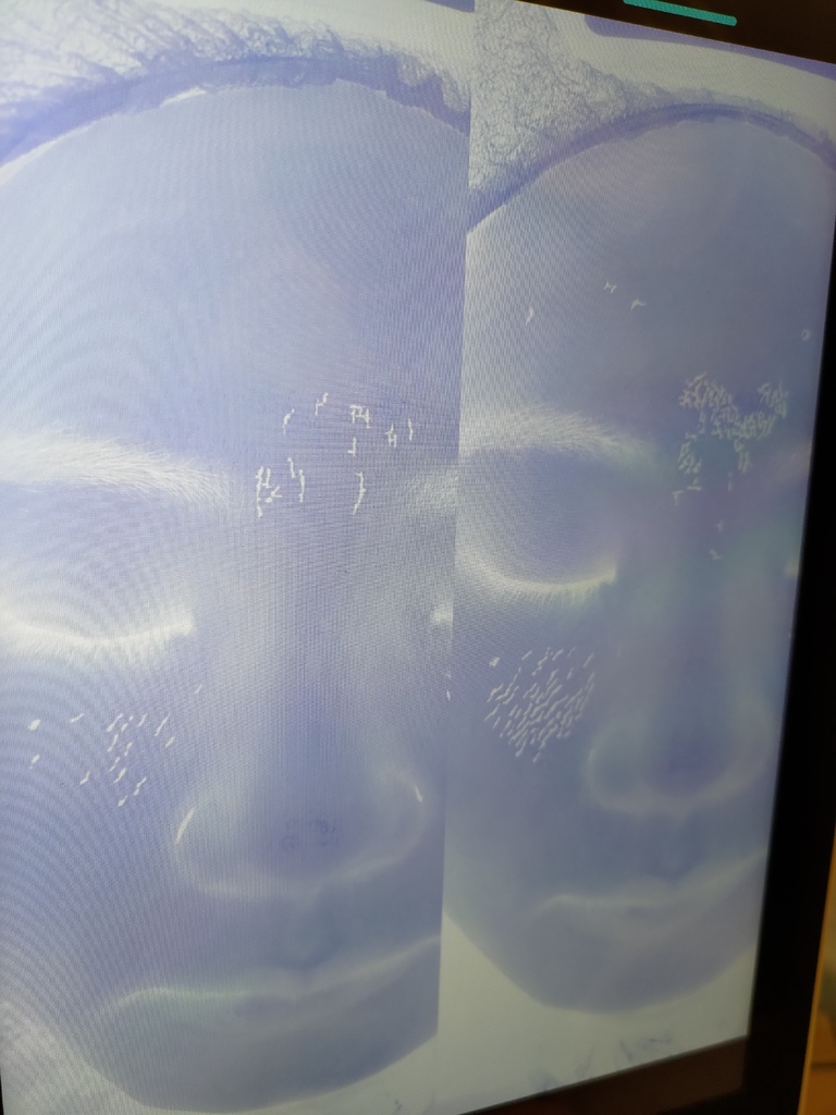 寶妮小姐 (41).jpg 寶妮小姐 (41).jpg