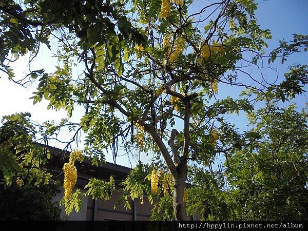 DSC03176.JPG DSC03176.JPG