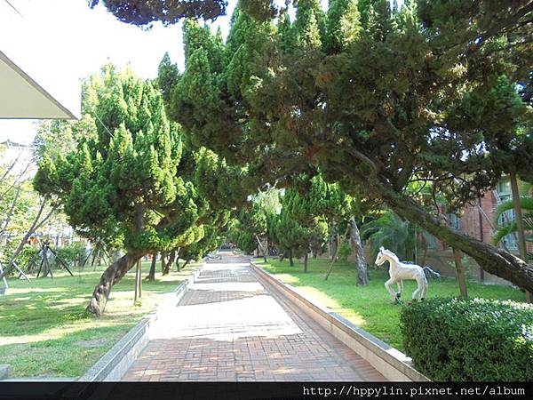 DSC03181.JPG DSC03181.JPG