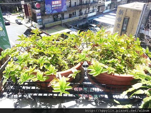 20150822_120553.jpg 20150822_120553.jpg