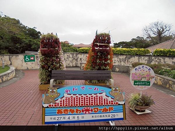 DSC02139.JPG DSC02139.JPG