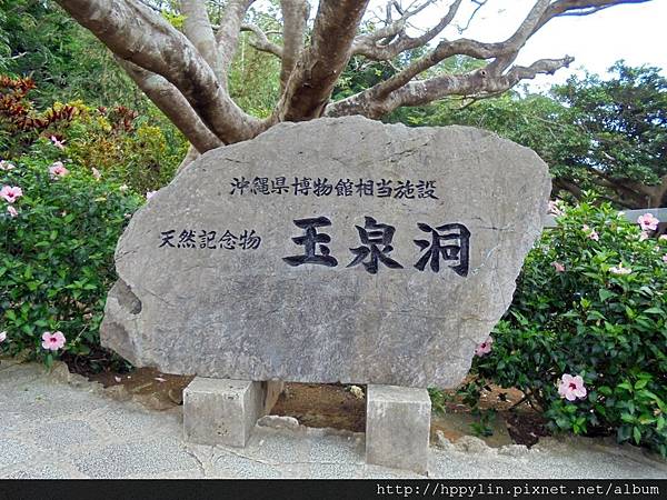 DSC02141.JPG DSC02141.JPG