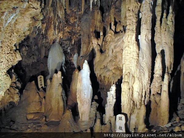 DSC02165.JPG DSC02165.JPG