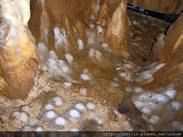 DSC02182.JPG DSC02182.JPG