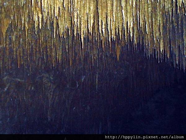 DSC02186.JPG DSC02186.JPG