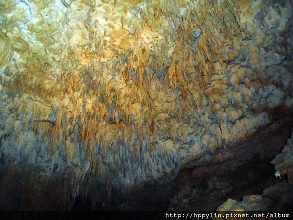 DSC02213.JPG DSC02213.JPG