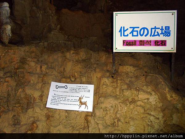 DSC02209.JPG DSC02209.JPG