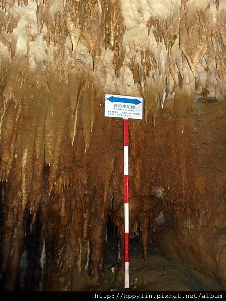 DSC02224.JPG DSC02224.JPG