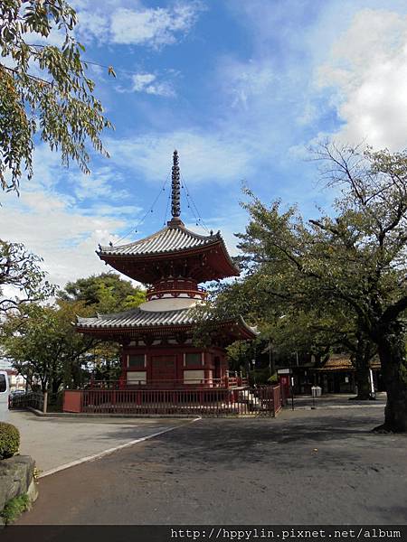 DSC03540.JPG DSC03540.JPG