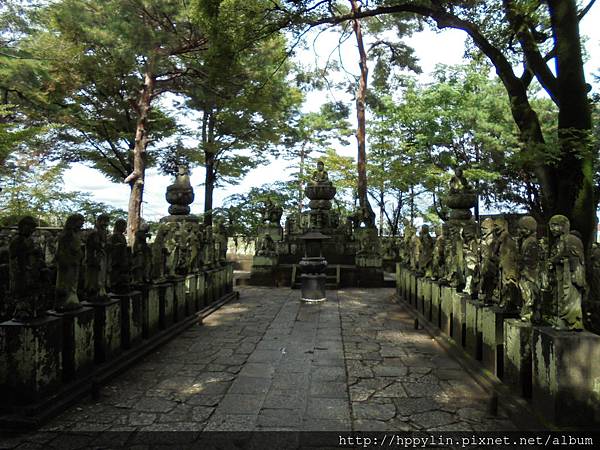 DSC03555.JPG DSC03555.JPG