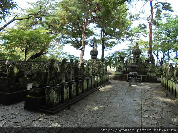 DSC03556.JPG DSC03556.JPG