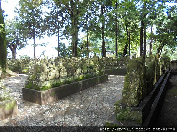 DSC03553.JPG DSC03553.JPG