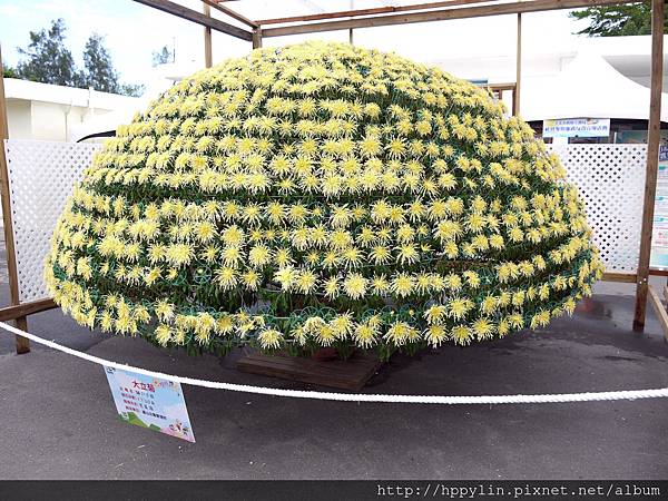 P1110898.JPG P1110898.JPG