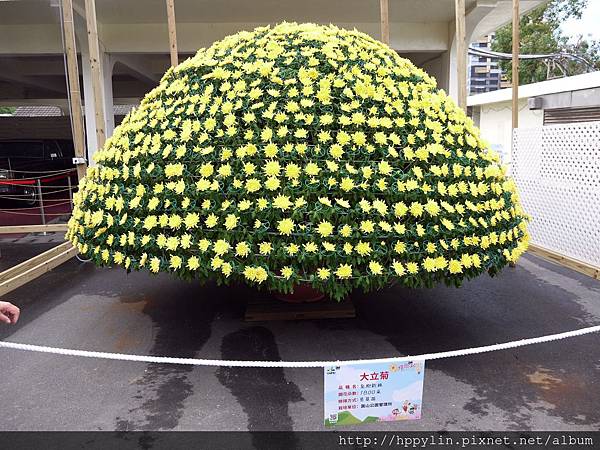 P1110899.JPG P1110899.JPG