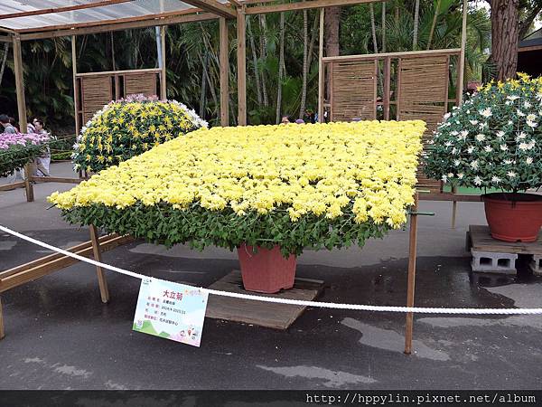 P1110900.JPG P1110900.JPG