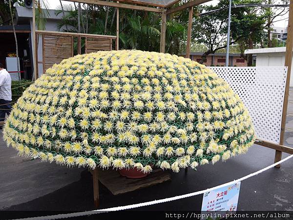 P1110901.JPG P1110901.JPG