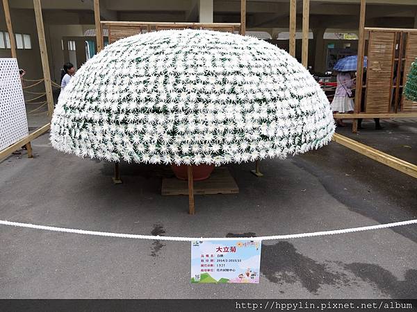 P1110902.JPG P1110902.JPG