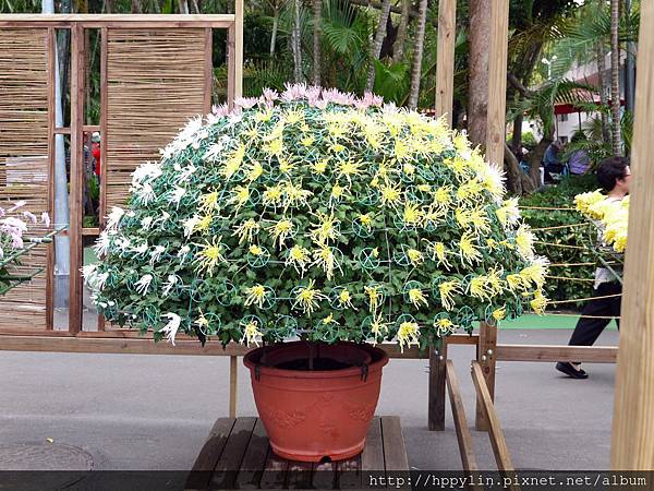 P1110903.JPG P1110903.JPG