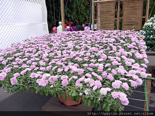 P1110904.JPG P1110904.JPG