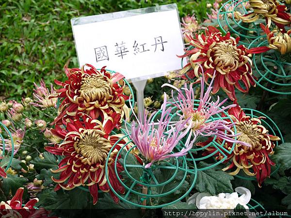 P1110909.JPG P1110909.JPG