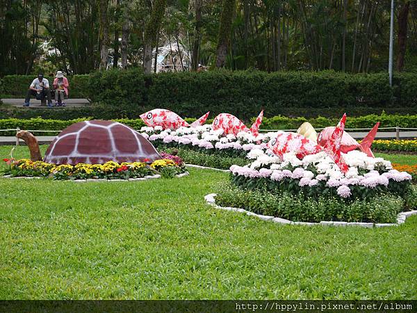 P1110917.JPG P1110917.JPG