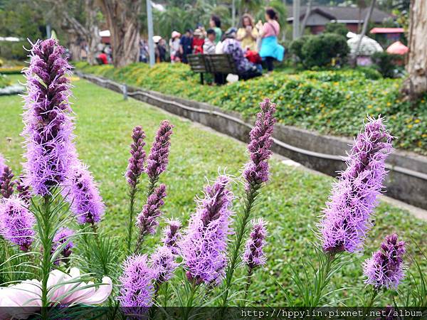 P1110938.JPG P1110938.JPG