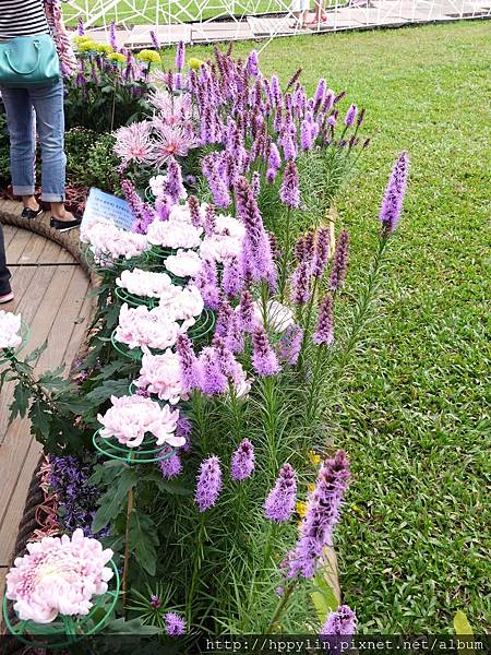 P1110941.JPG P1110941.JPG