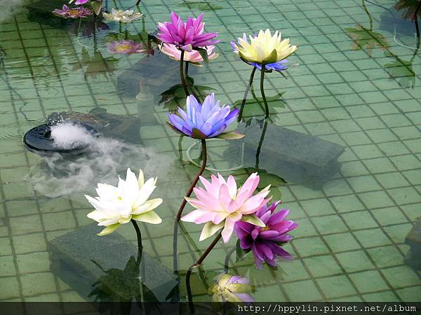 P1110949.JPG P1110949.JPG