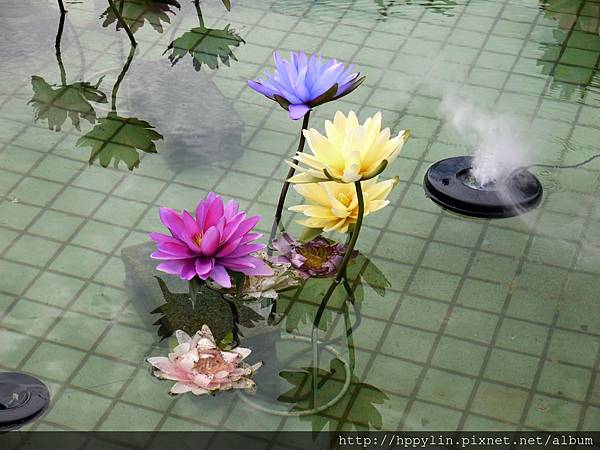 P1110951.JPG P1110951.JPG