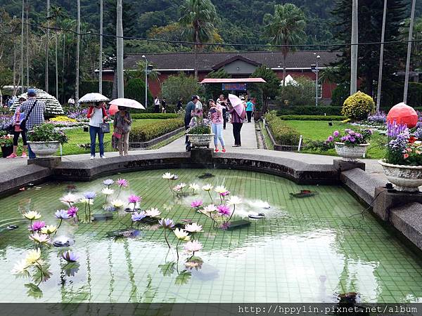 P1110959.JPG P1110959.JPG