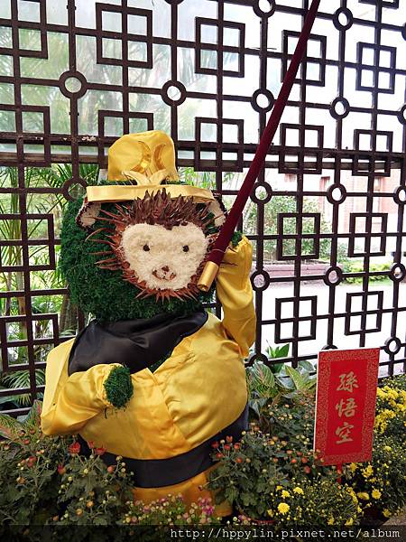 P1110972.JPG P1110972.JPG