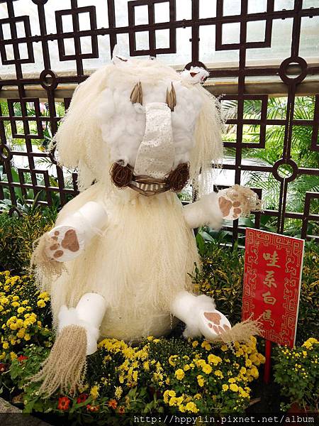 P1110977.JPG P1110977.JPG