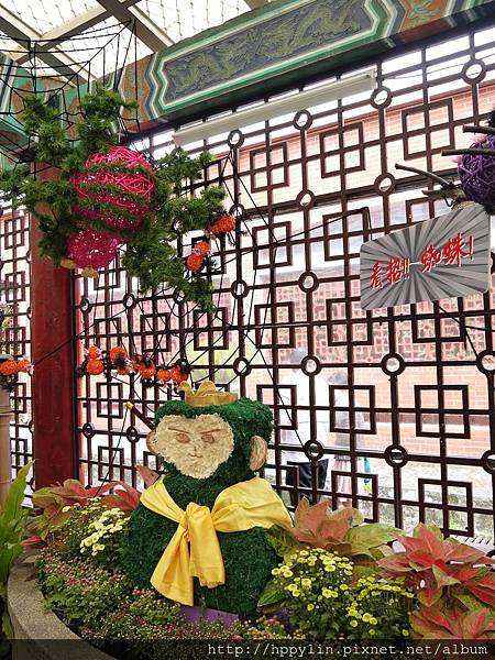 P1110984.JPG P1110984.JPG